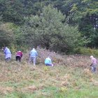20112308130827-514.jpg